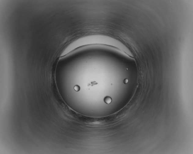 X0000112200312200908211546