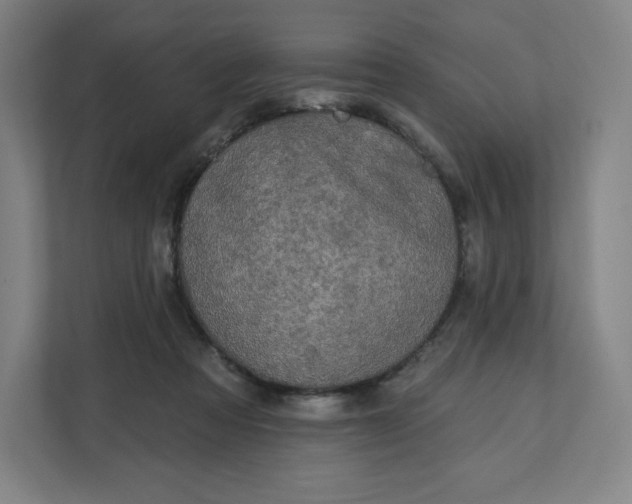 X0000112200313200908211546