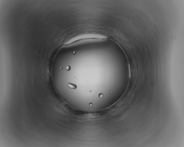 X0000112200320200908211546