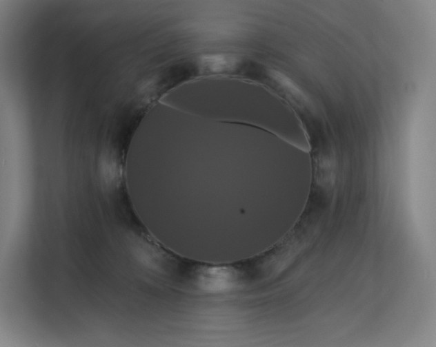 X0000112200324200908211546