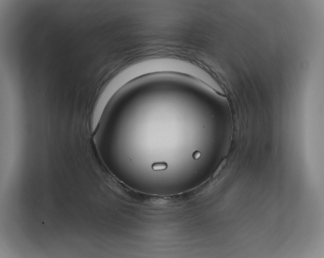 X0000112200325200908211545