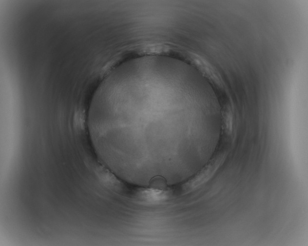 X0000112200326200908211545