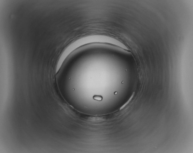 X0000112200327200908211545