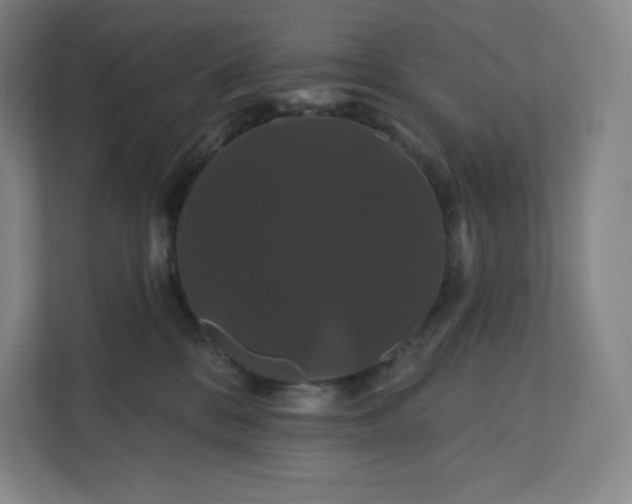 X0000112200328200908211545