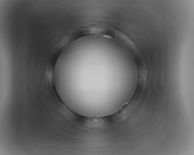 X0000112200329200908211545