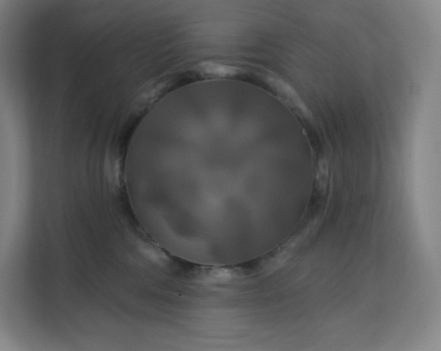 X0000112200330200908211545