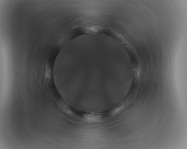 X0000112200331200908211545