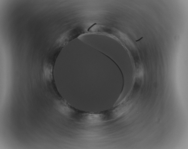 X0000112200332200908211545