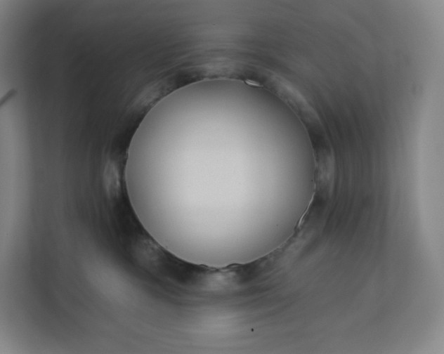 X0000112200333200908211545