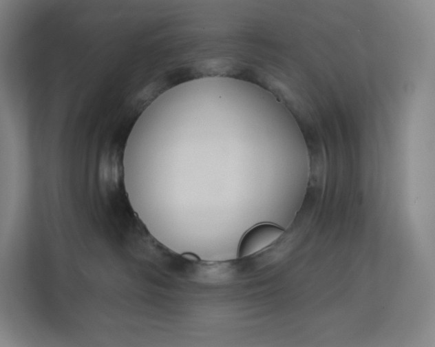 X0000112200334200908211545