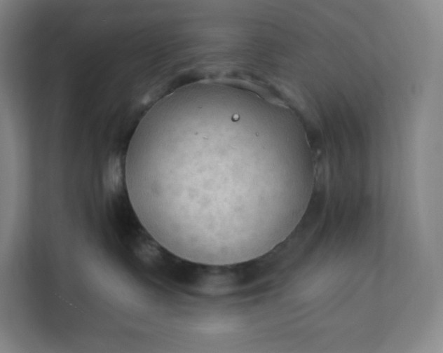 X0000112200335200908211545