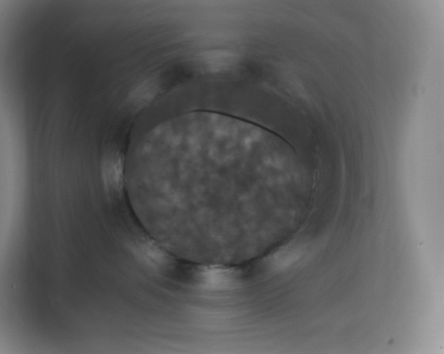 X0000112200336200908211545