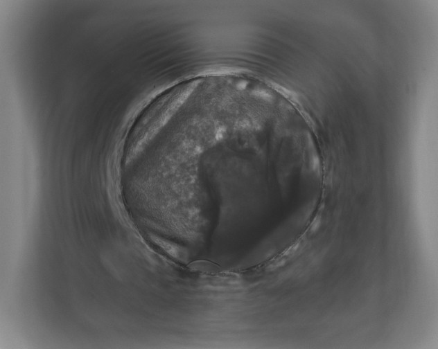 X0000112200337200908211545