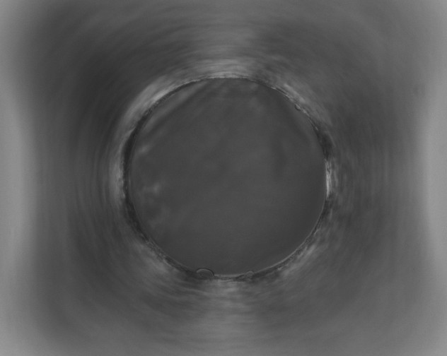 X0000112200339200908211545