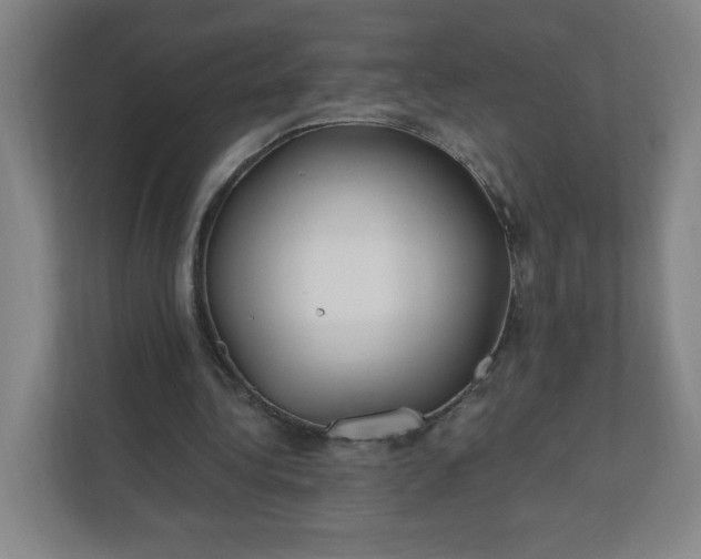 X0000112200340200908211545