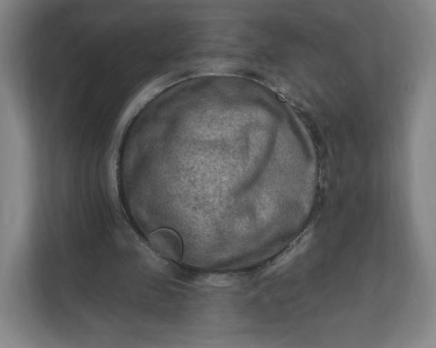 X0000112200341200908211545