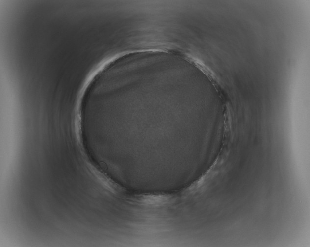 X0000112200342200908211545