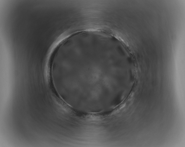 X0000112200343200908211545