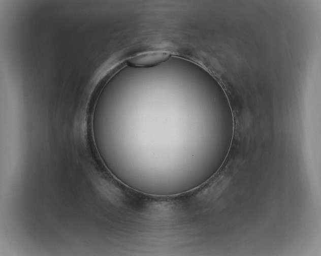 X0000112200344200908211545