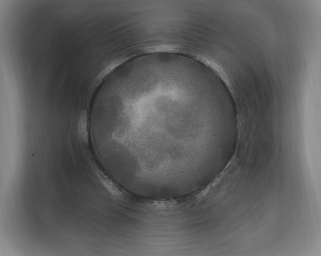 X0000112200345200908211545