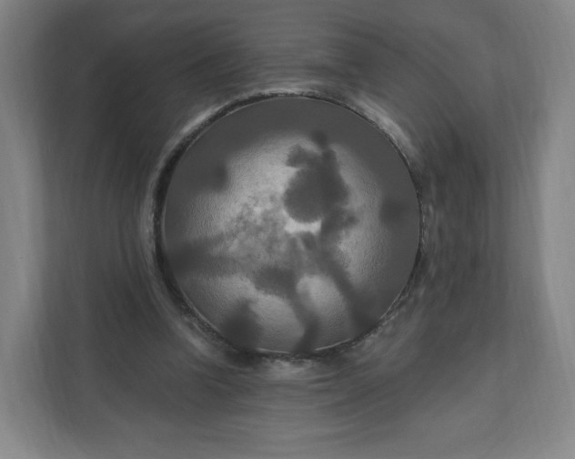 X0000112200346200908211545