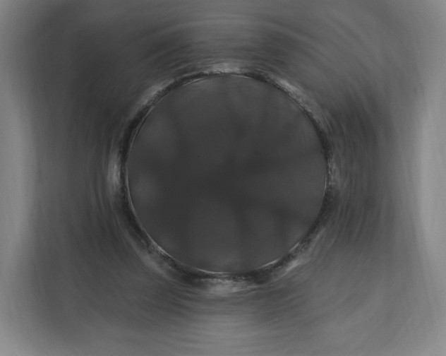 X0000112200347200908211545