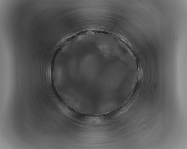 X0000112200349200908211545