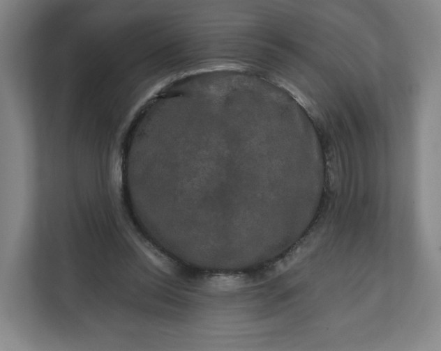 X0000112200350200908211545