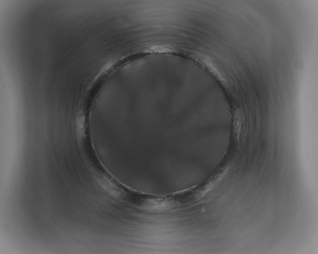 X0000112200351200908211545