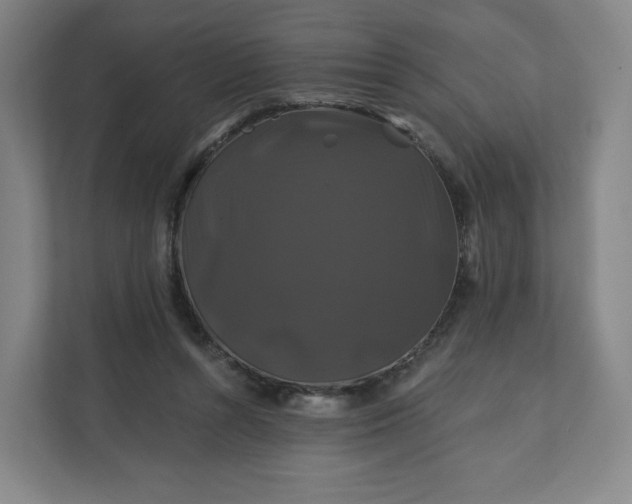 X0000112200352200908211545