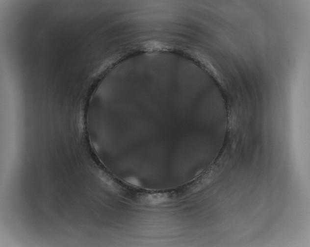 X0000112200353200908211545