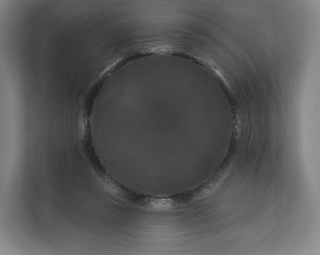 X0000112200355200908211545