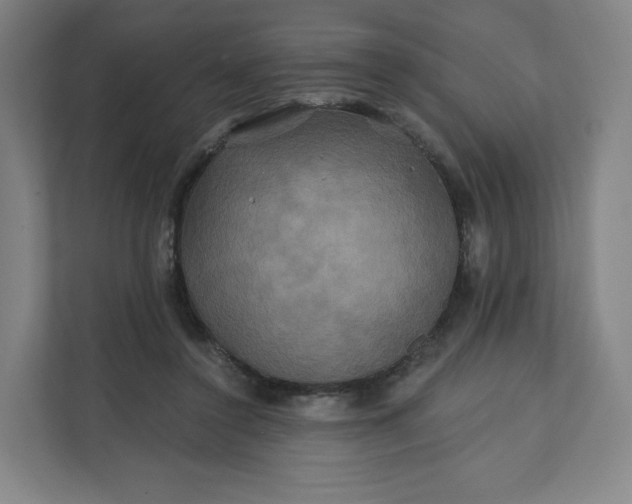 X0000112200356200908211545