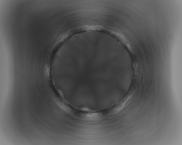 X0000112200357200908211545