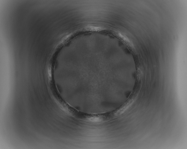 X0000112200358200908211545