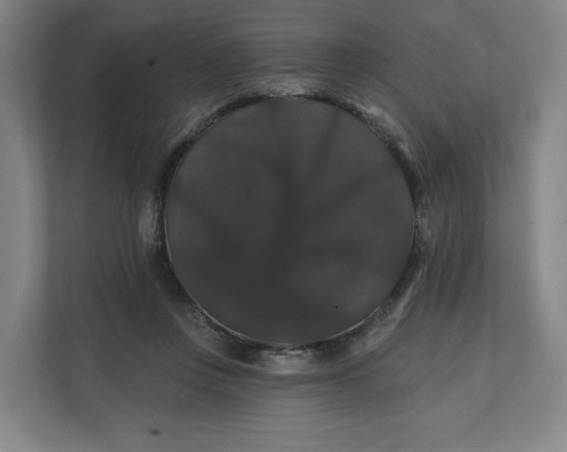 X0000112200359200908211545