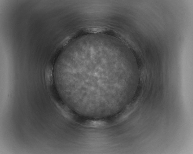 X0000112200360200908211545