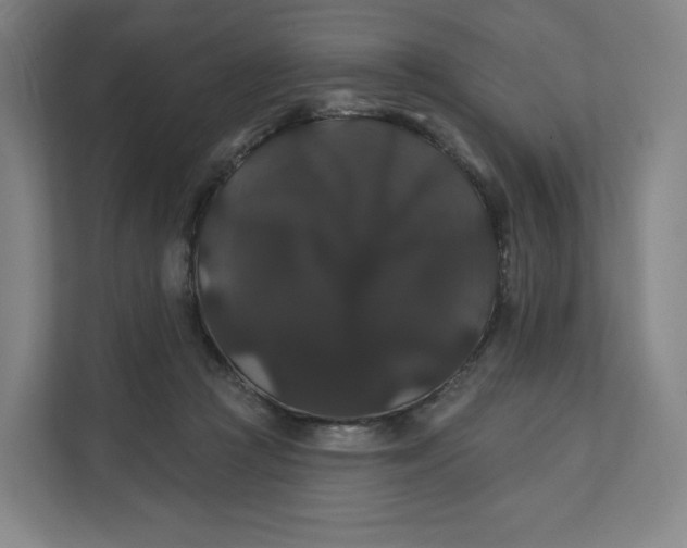 X0000112200361200908211545