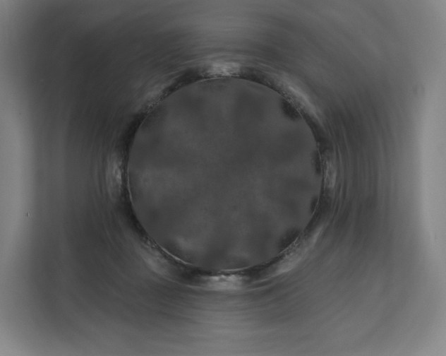 X0000112200363200908211545