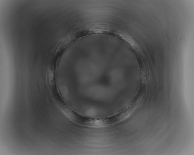 X0000112200365200908211545