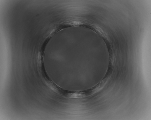 X0000112200366200908211545