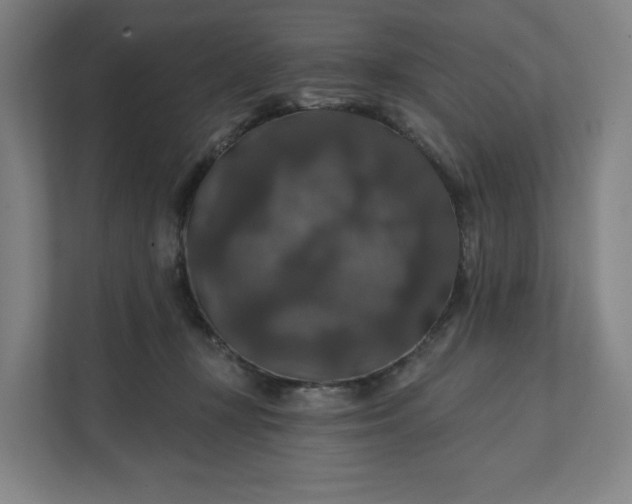 X0000112200367200908211545