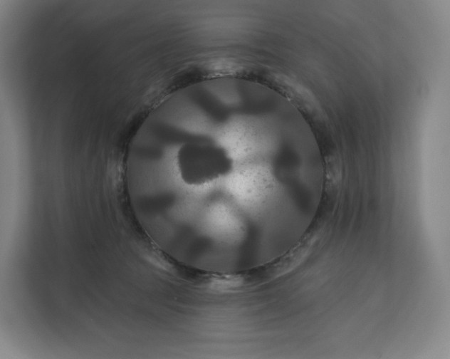 X0000112200369200908211545