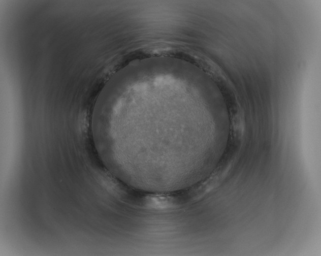 X0000112200372200908211545