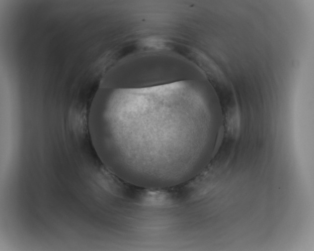 X0000112200376200908211545