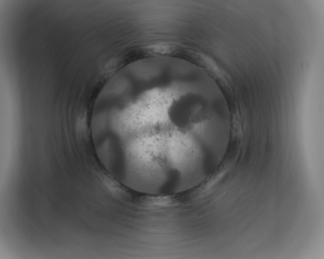 X0000112200377200908211545