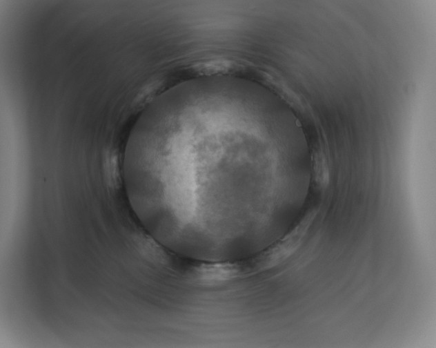 X0000112200378200908211545