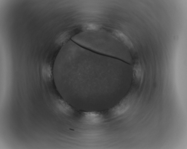 X0000112200380200908211545