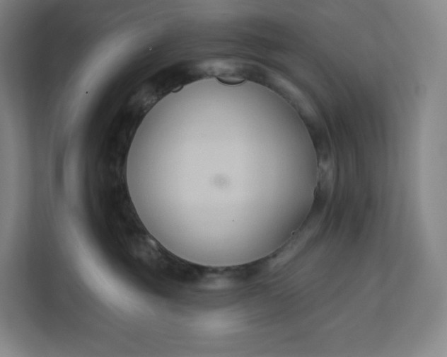 X0000112200381200908211545