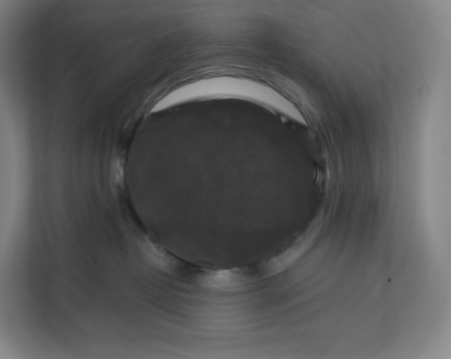 X0000112200382200908211545